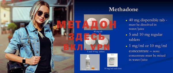 прущие грибы Вяземский