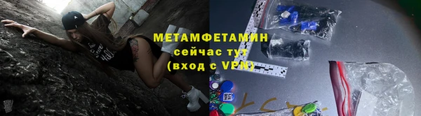 прущие грибы Вяземский