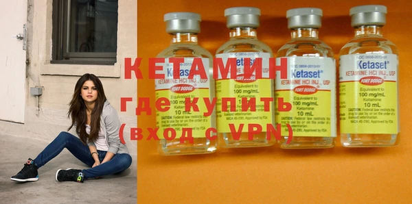 прущие грибы Вяземский
